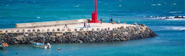 行業(yè)動(dòng)態(tài)