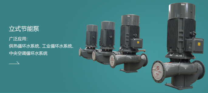 立式節(jié)能泵
