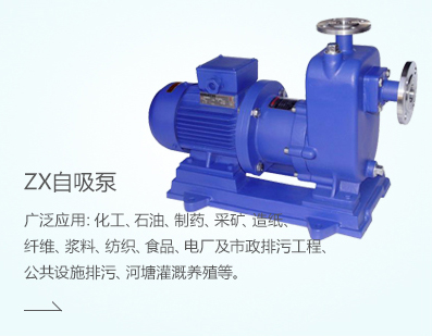ZX自吸泵