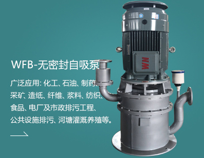 WFB-無(wú)密封自吸泵